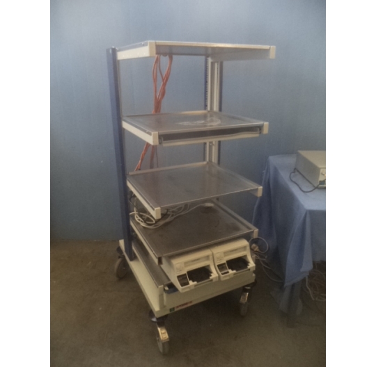 Endo cart