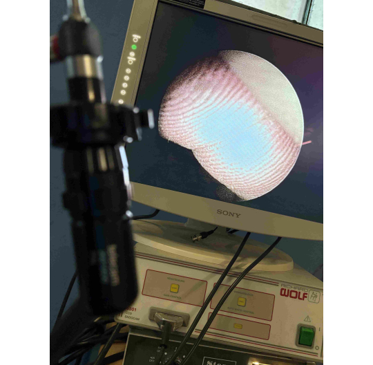 Telecam 20210030 PAL