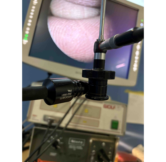 Telecam 20210031 PAL