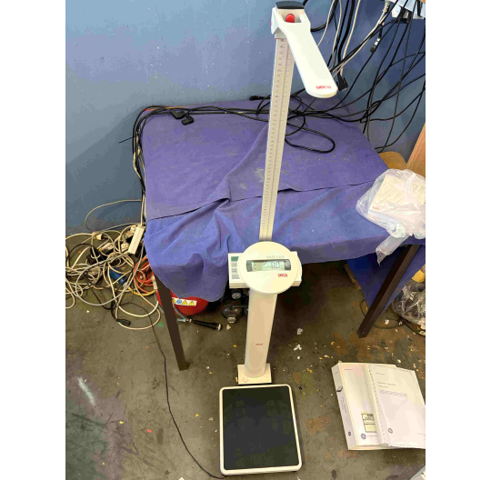 Personenwaage Body scale