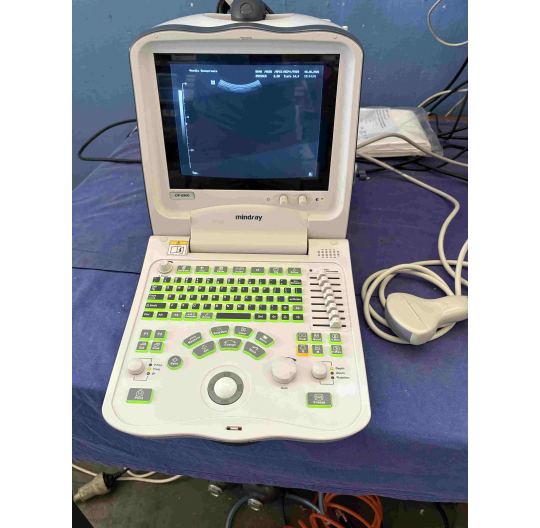 DP-6600