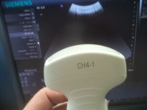 SIEMENS - CH4-1