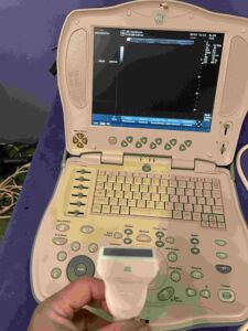 GE MEDICAL - 8L